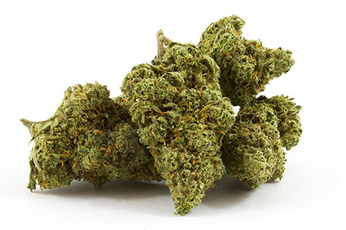 Citrique-1-2-1.jpg Citrique - Image 1