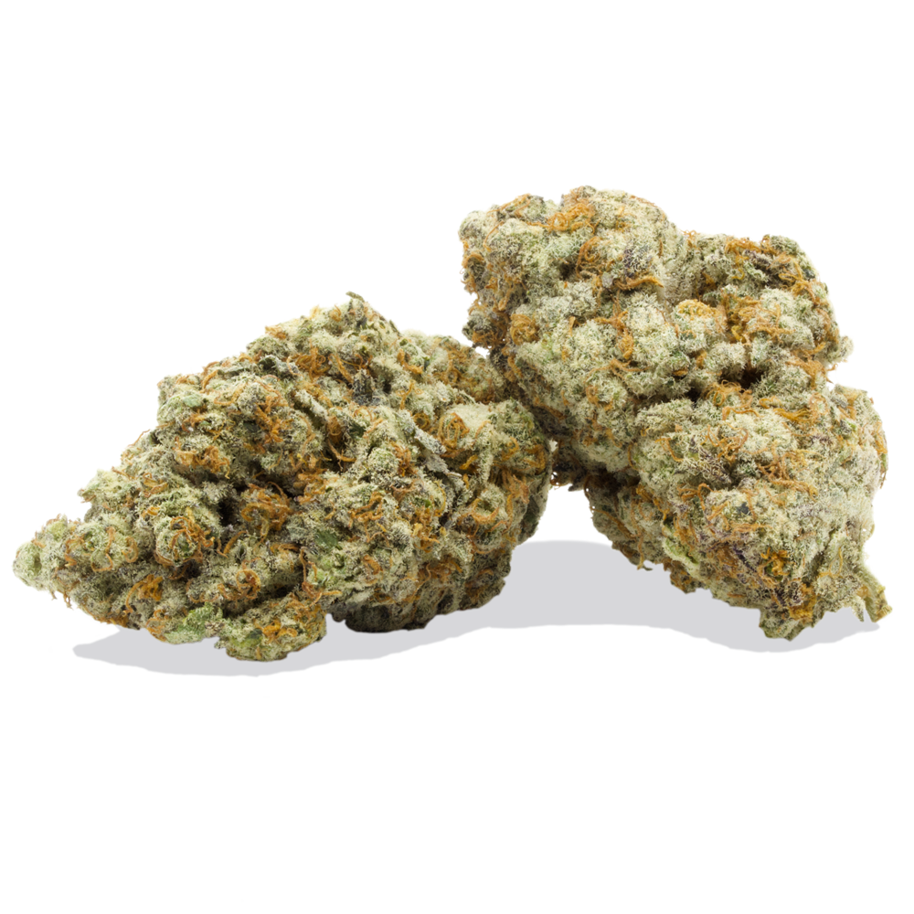 Dolato-1-2-1.png Dolato - Image 1