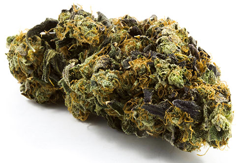 LA-Confidential-Indica-2-1.jpg LA Confidential Indica - Image 1