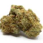 Sativa Strains